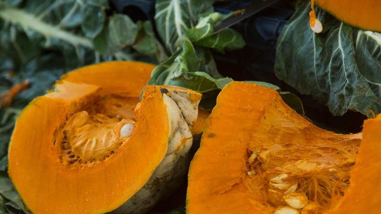 Split pumpkin crops