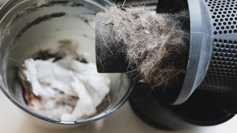 Emptying a bagless vacuum canister