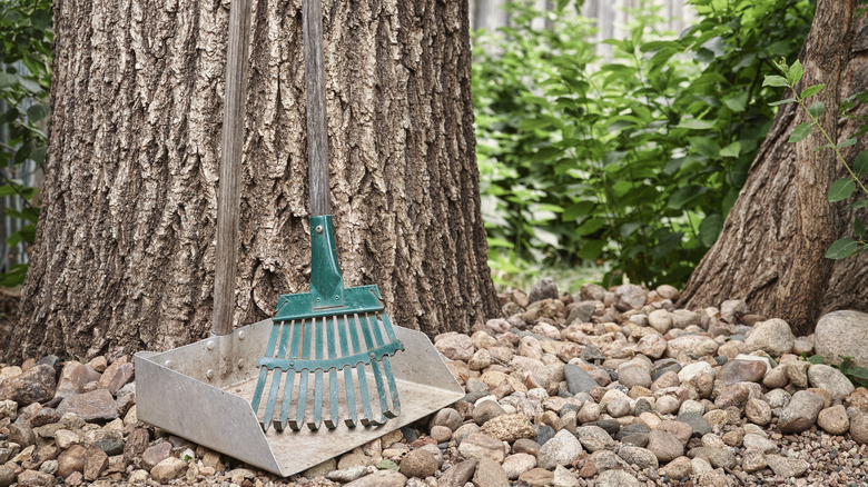 Rake and dustpan for poop