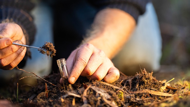 spooning dirt into test tube