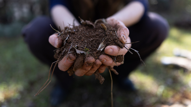 woman holding soil