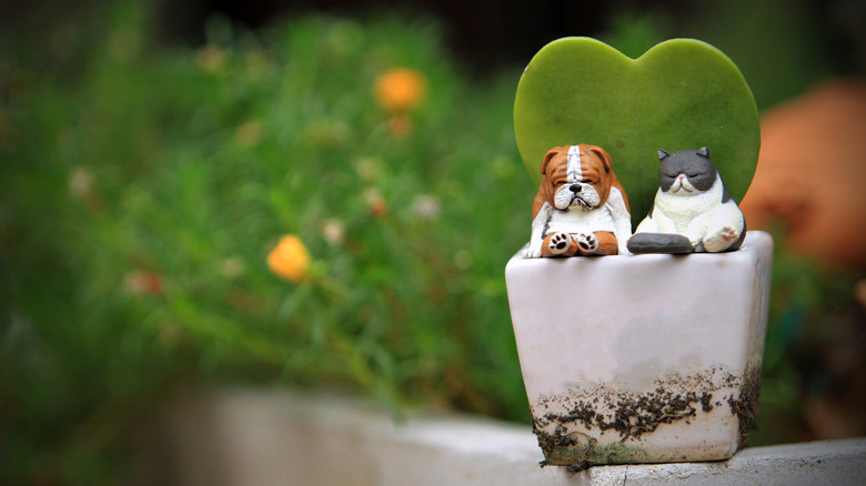 Cat and dog toy in plant