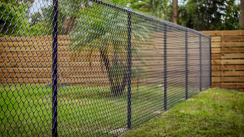 A chain link fence 