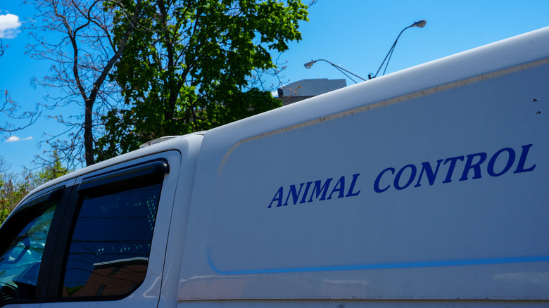 animal control van