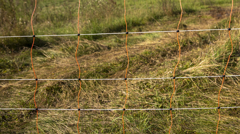 An electric fence 