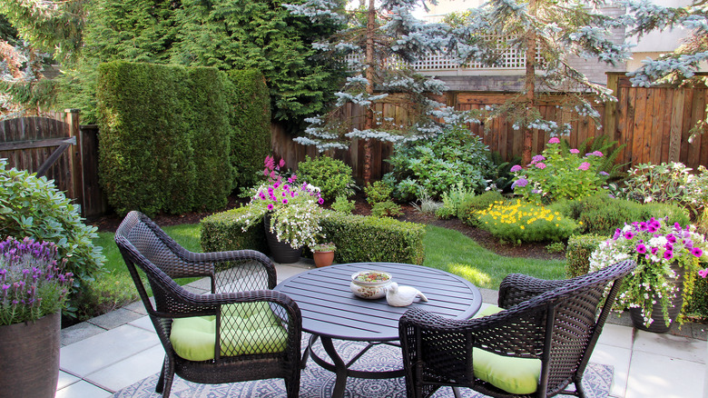 A fenced garden 