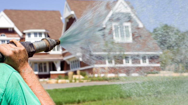 Hydroseeding spray