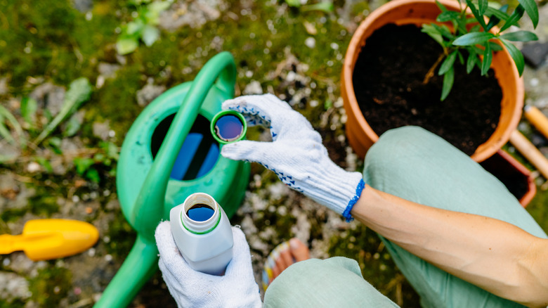 measuring solution into watering can