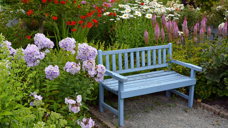 bench in a flower garden