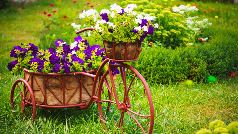 a garden bike with flowers
