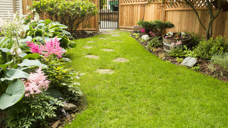 Garden with many plant types