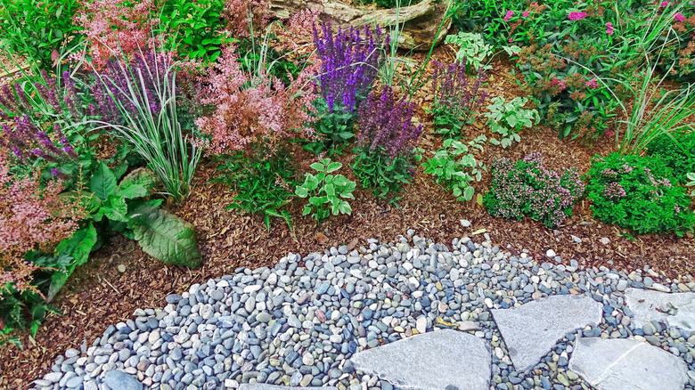 Gravel garden with plants