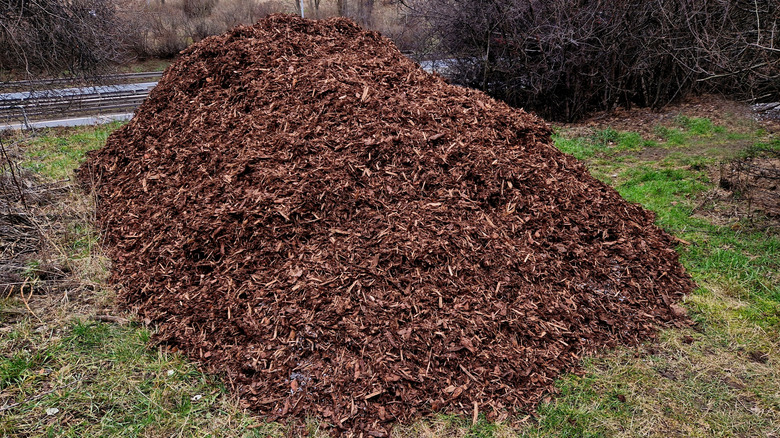 A large pile of mulch on top of grass