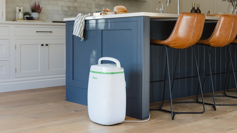 Dehumidifier in kitchen