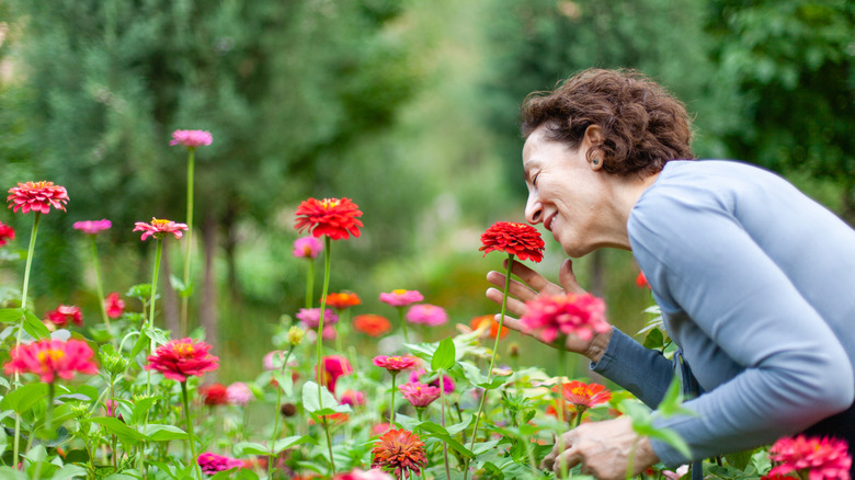 woman smelling red flower