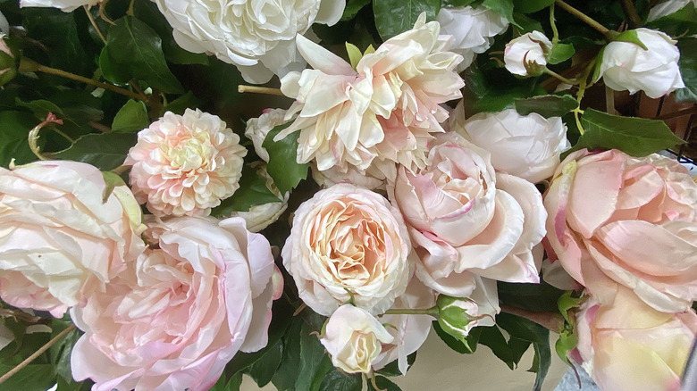 pale pink roses and peonies