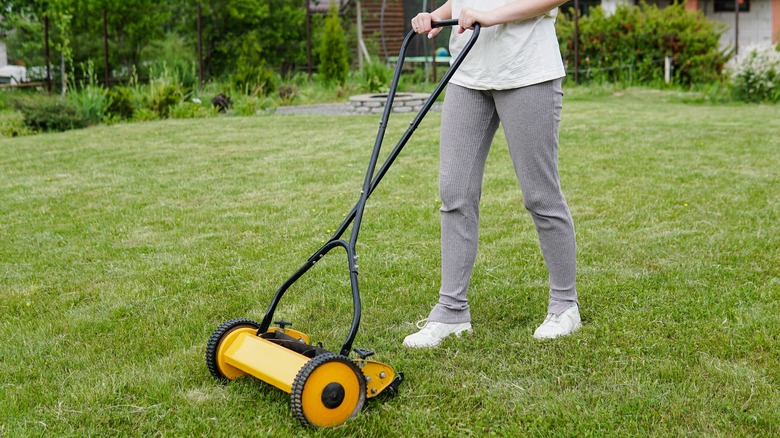 Woman pushing a reel mower