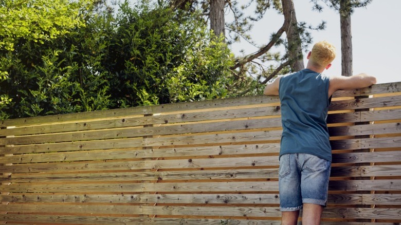 Man checking out a tall wooden fence along a tree line