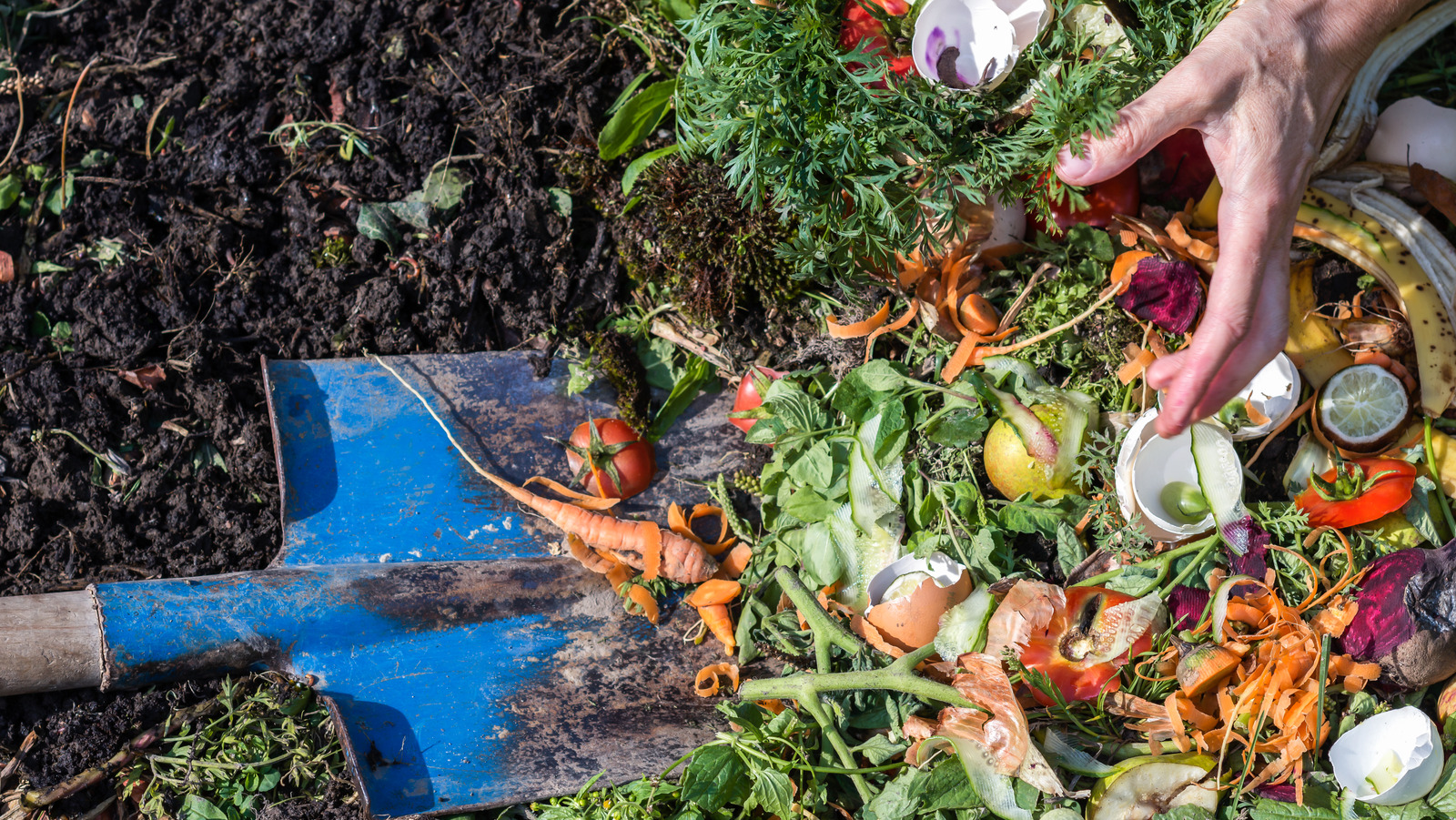 If Your Compost Heap Is Starting To Smell A Little Ripe, Here's What You Need