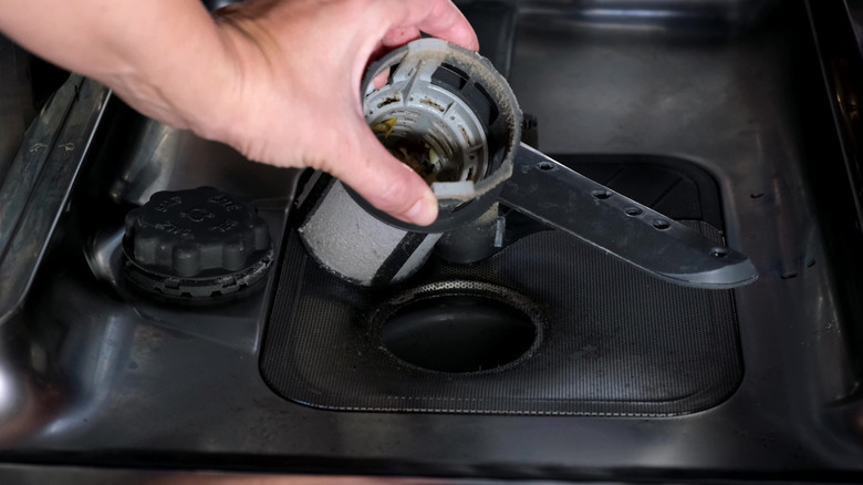 a hand removes a filter from dishwasher