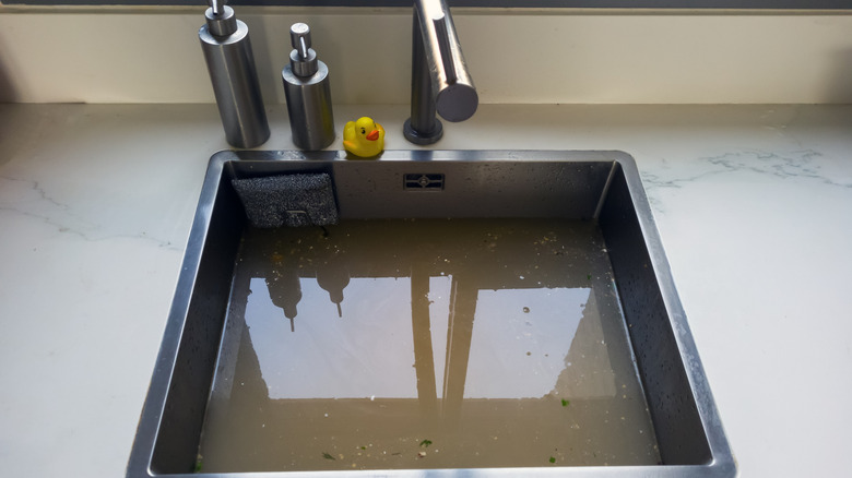 Stainless steel sink filled with dirty water from overflow