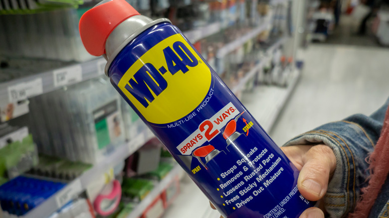 person holding can of WD-40