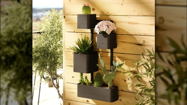 Modern outdoor wall planter 