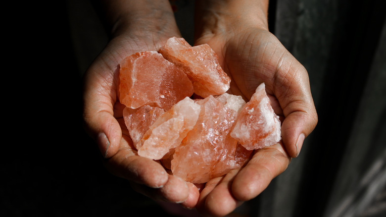 Cupped hands holding a small assortment of Himalayan pink rock salt pieces.