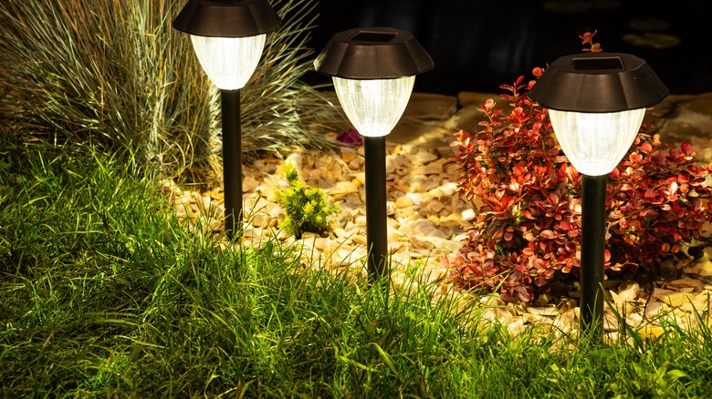 Solar lights in yard