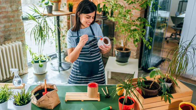 A smiling woman in a blue and white apron painting a terracotta pot in a room filled with lots of indoor plants.