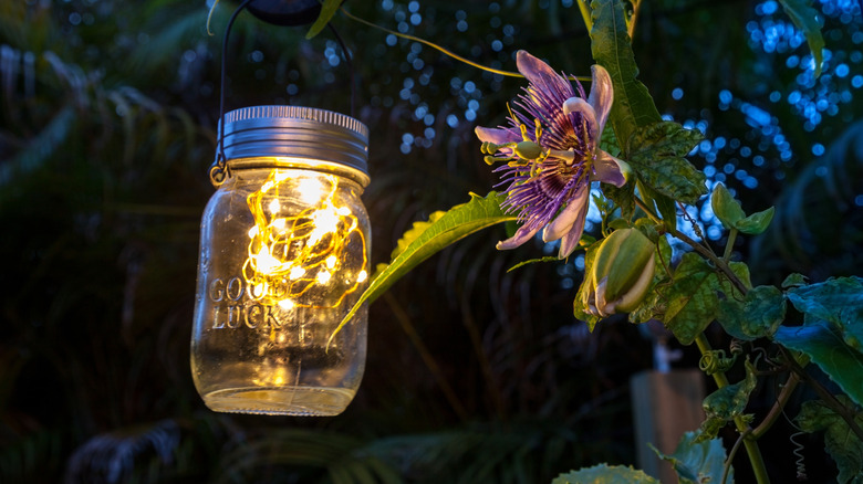 fairy lights in mason jar