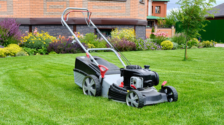 Lawnmower in yard