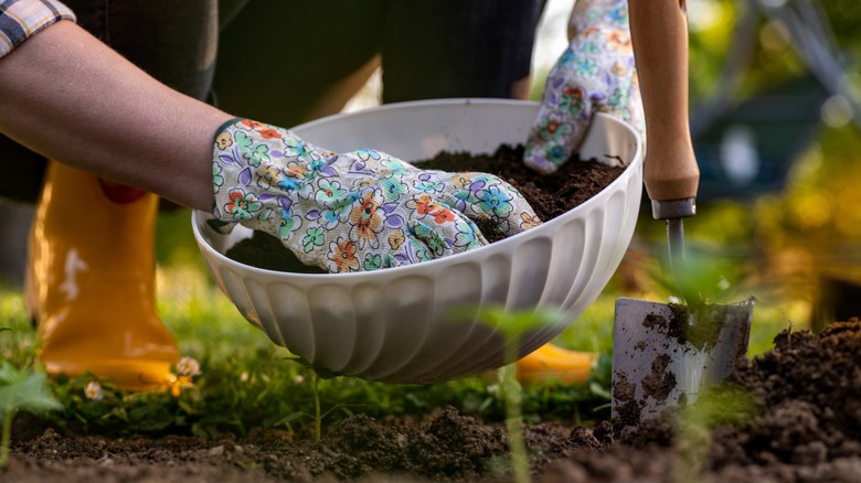 applying compost in garden