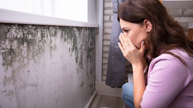 Woman horrified over mold in house