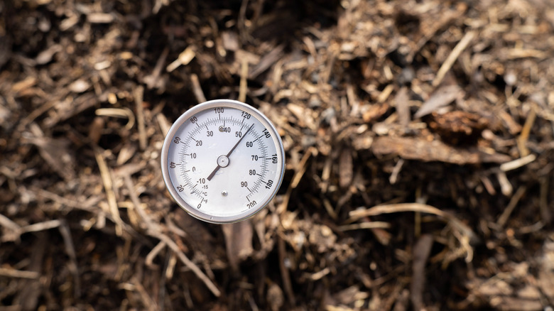 A compost thermometer in a compost pile