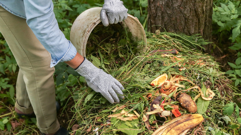 Gardener adding weeds and plants to a compost pile