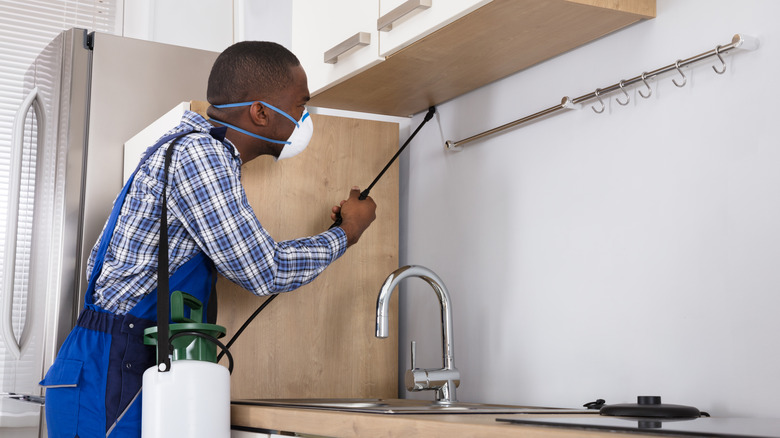 professional spraying pesticide in kitchen