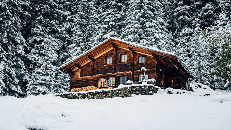 cabin in the snow