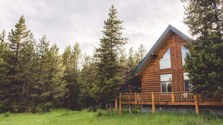 log cabin in woods