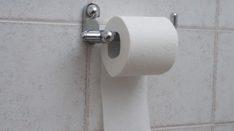 toilet paper on a holder