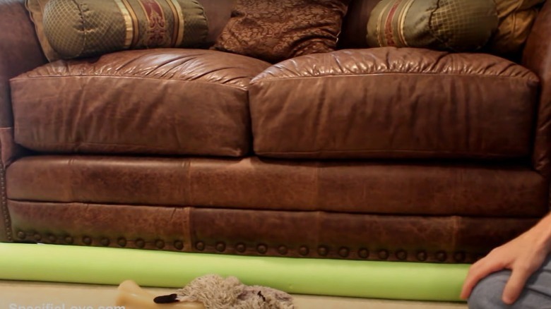 green noodle blocking space under couch