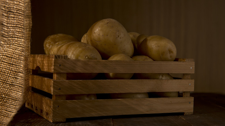 A crate of potatoes stored behind burlap for the winter