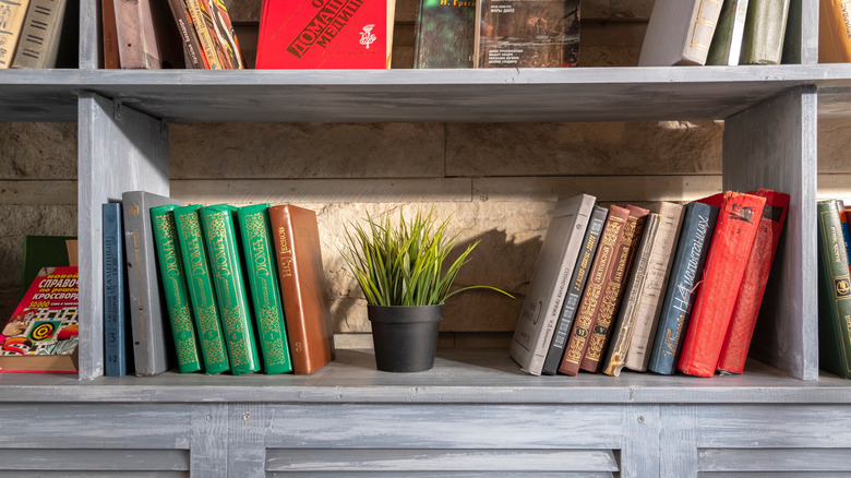 bookshelf with books and plant