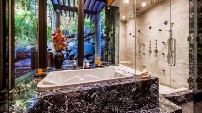 Luxurious bathroom