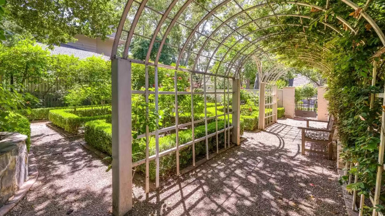 Garden with trellis