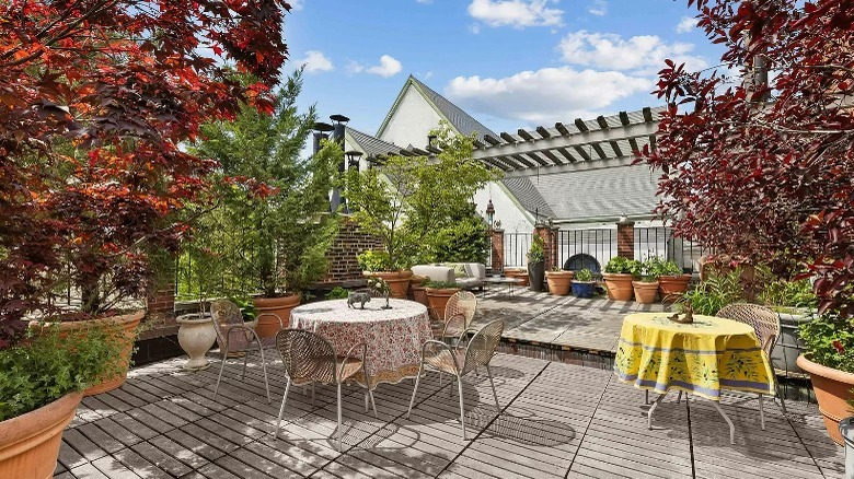 Rooftop garden with pergola