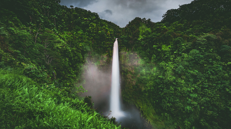 Akaka Falls