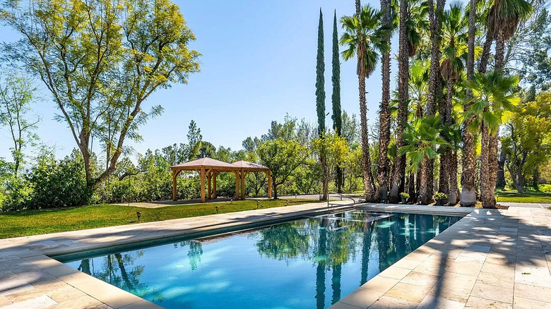 Zendaya L.A. home pool