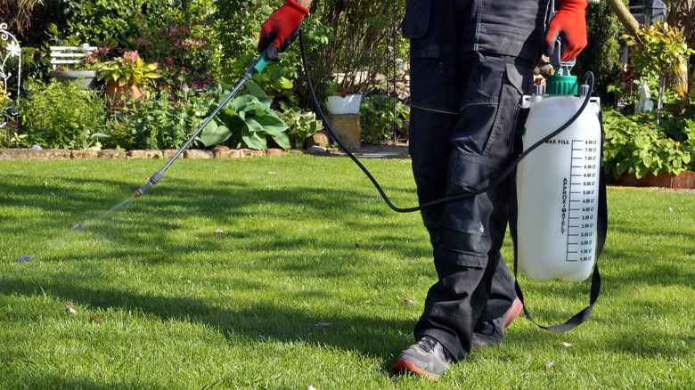 Weed killer with gardener