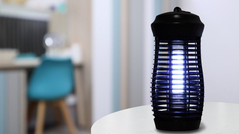 indoor bug light